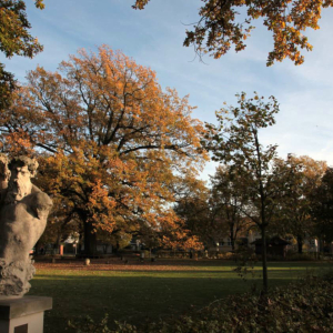 friedensplatz